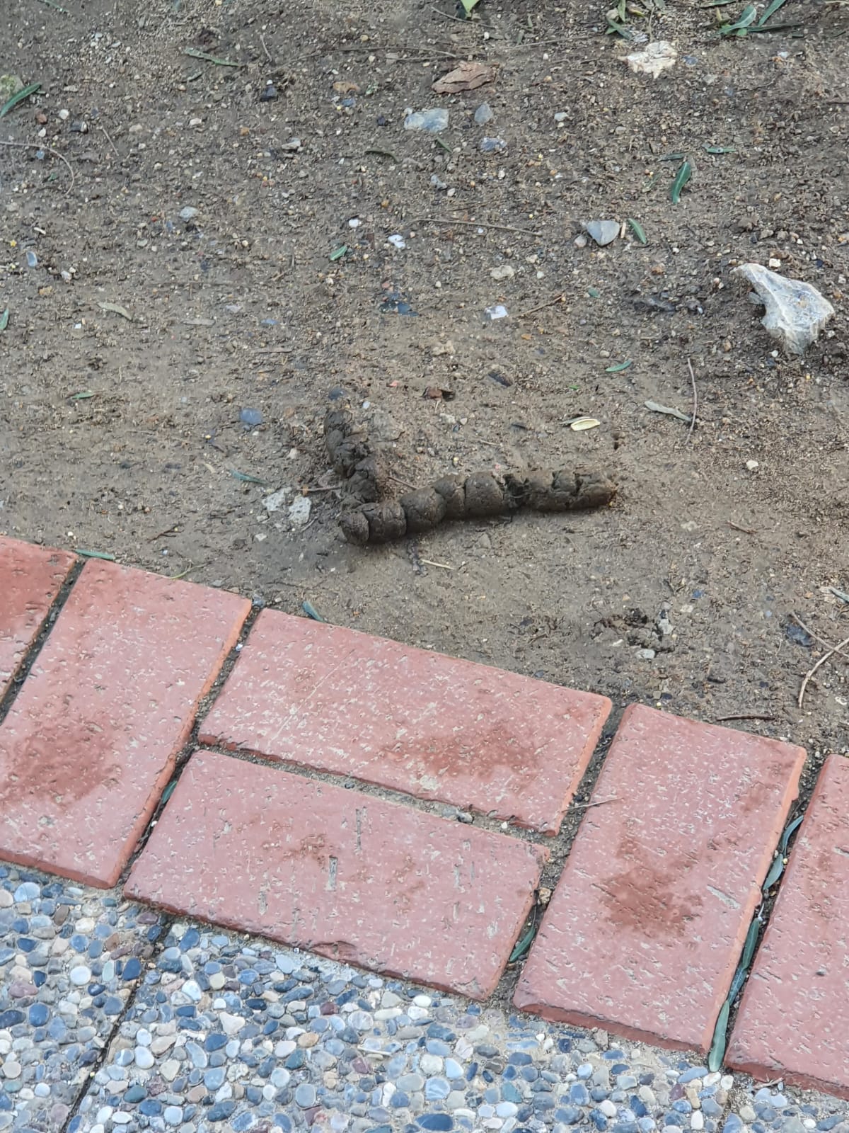 Salih Erkek Yazdı...