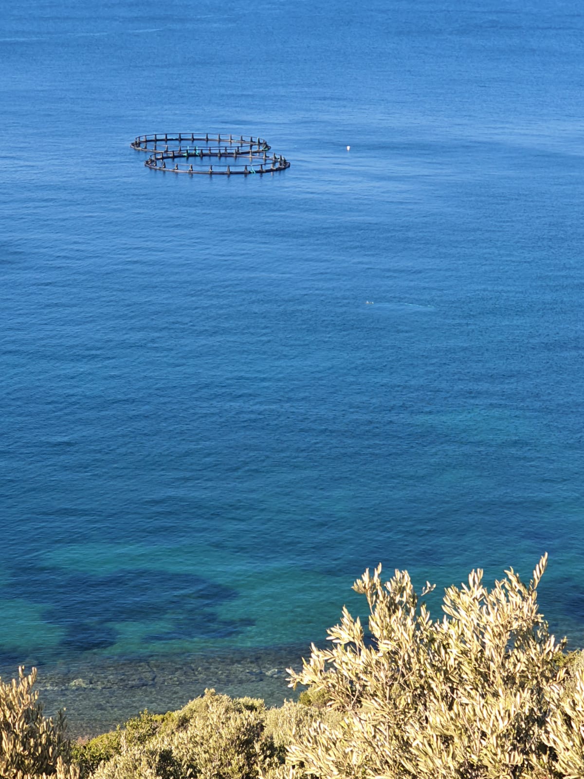 Salih Erkek Yazdı...