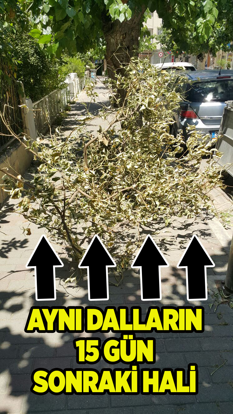 BİRİ ÖLSE BEDELİNİ KİM ÖDEYECEK?