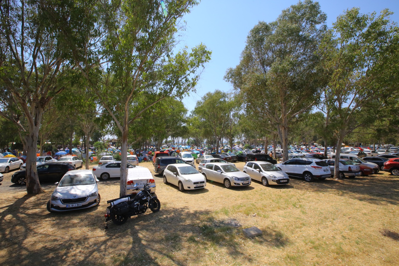 EFES SELÇUK PAMUCAK SAHİLİ’NDE YAZ VE MÜZİK KAMPI