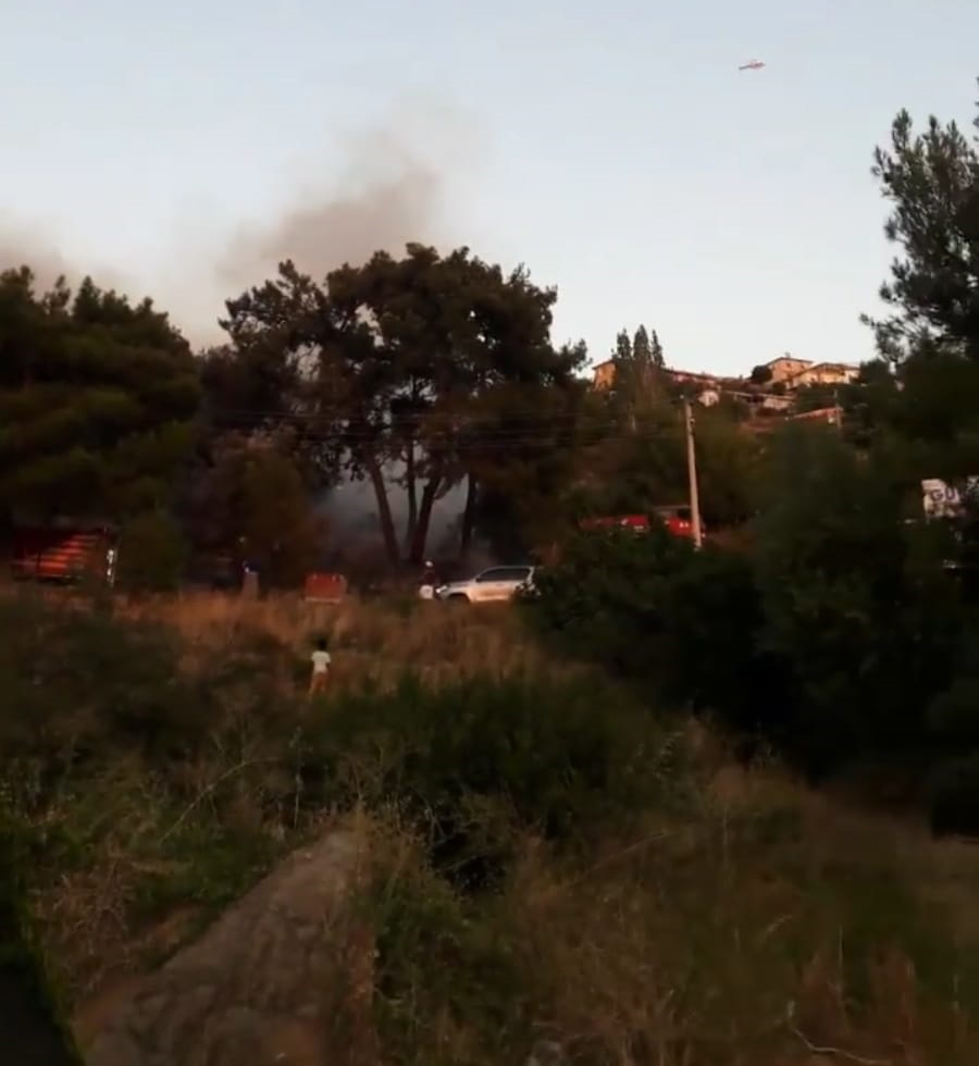 İzmir'in Balçova ilçesinde korkutan yangın!