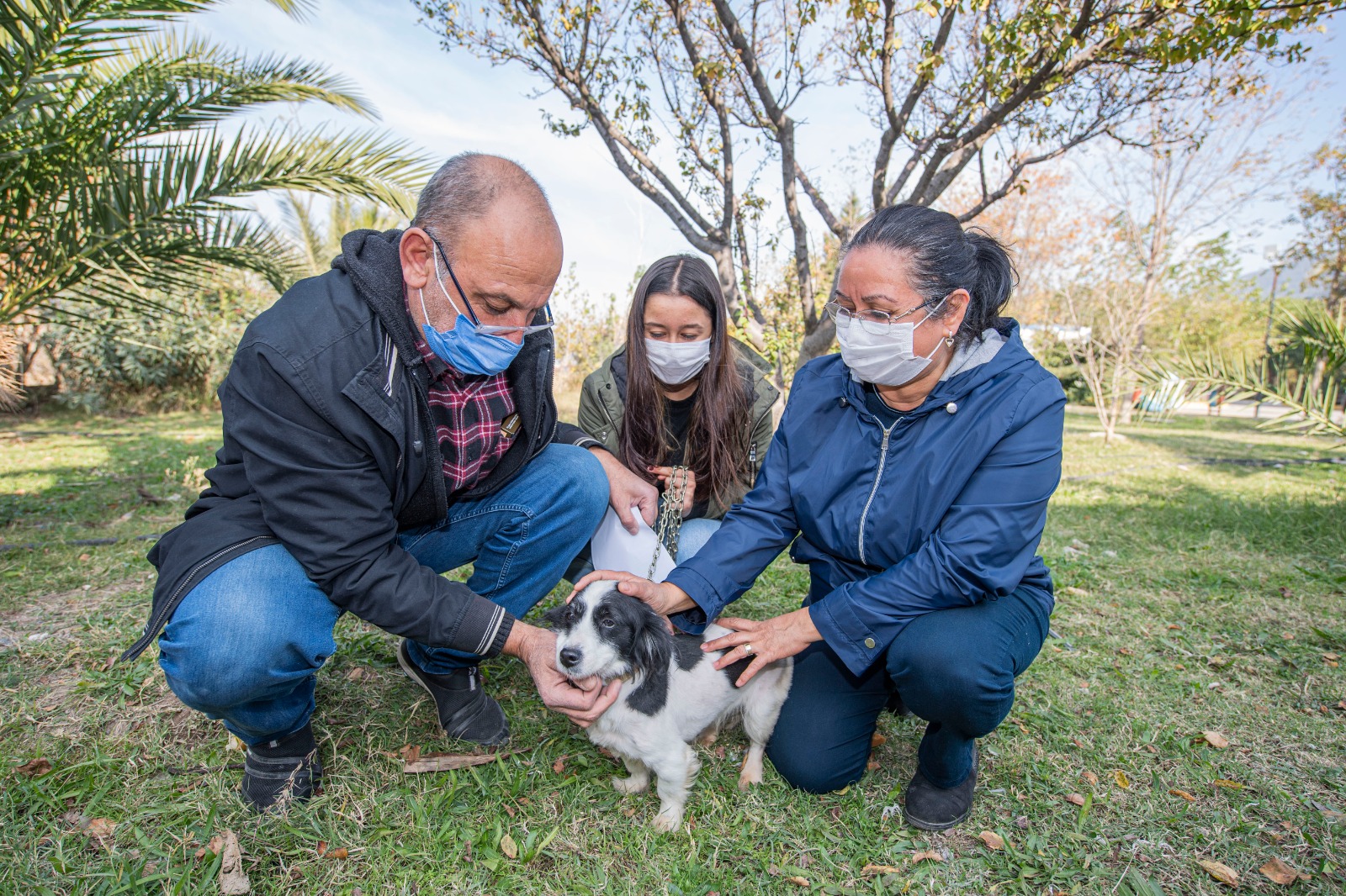 Satın alma sahiplen... Yeni ailelerine kavuştular