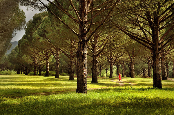 Başkan Kocaoğlu'ndan altın madenine karşı dayanışma çağrısı