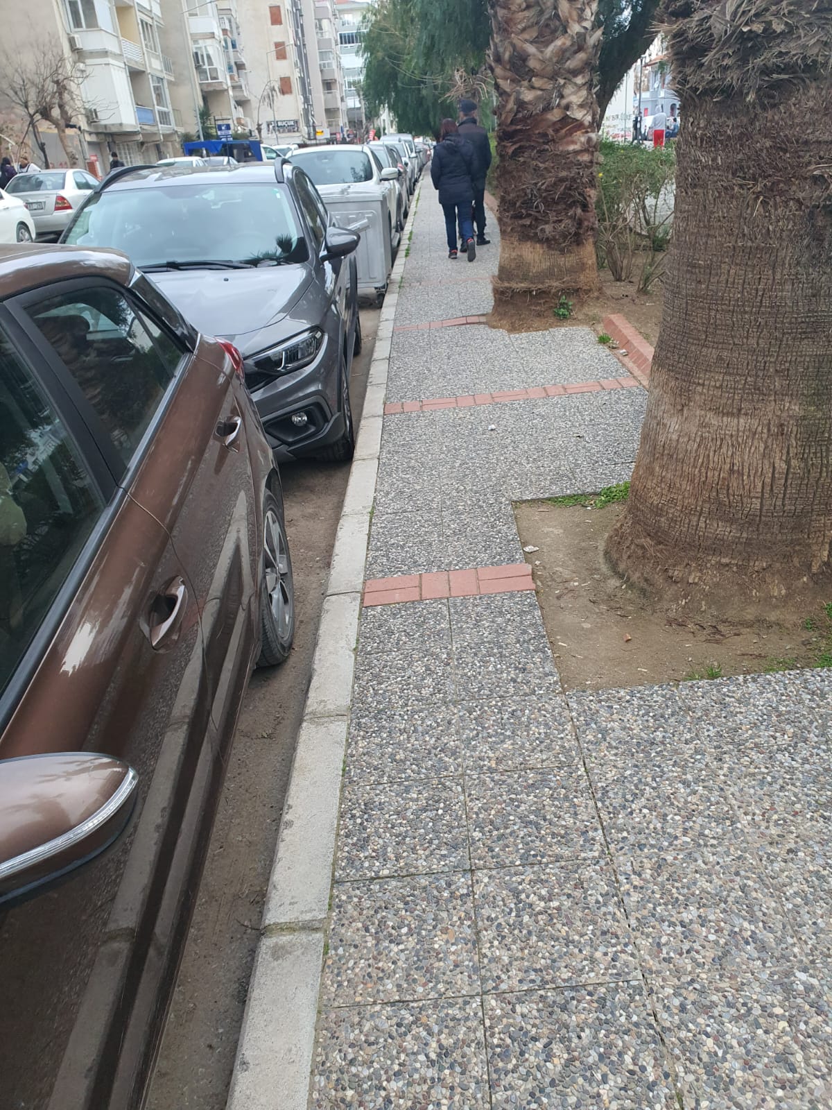 Salih Erkek Yazdı...