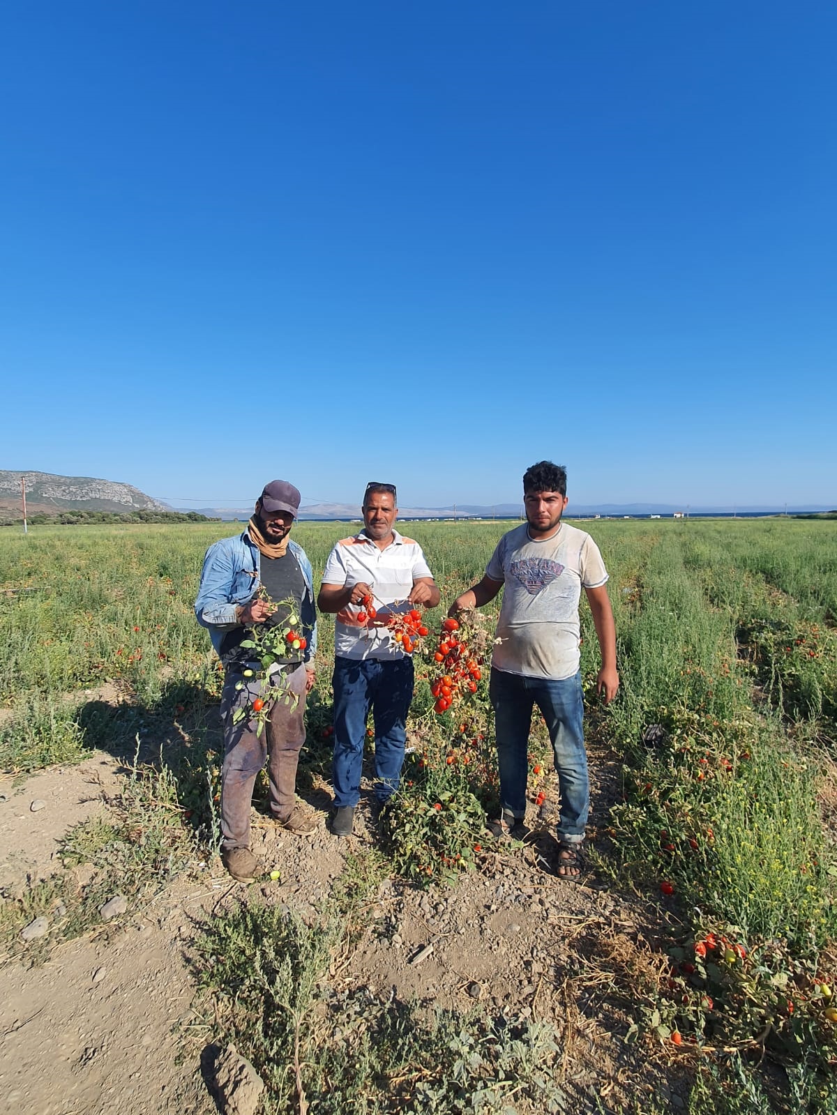 "ÜRETİCİYE DESTEK OLUN!"
