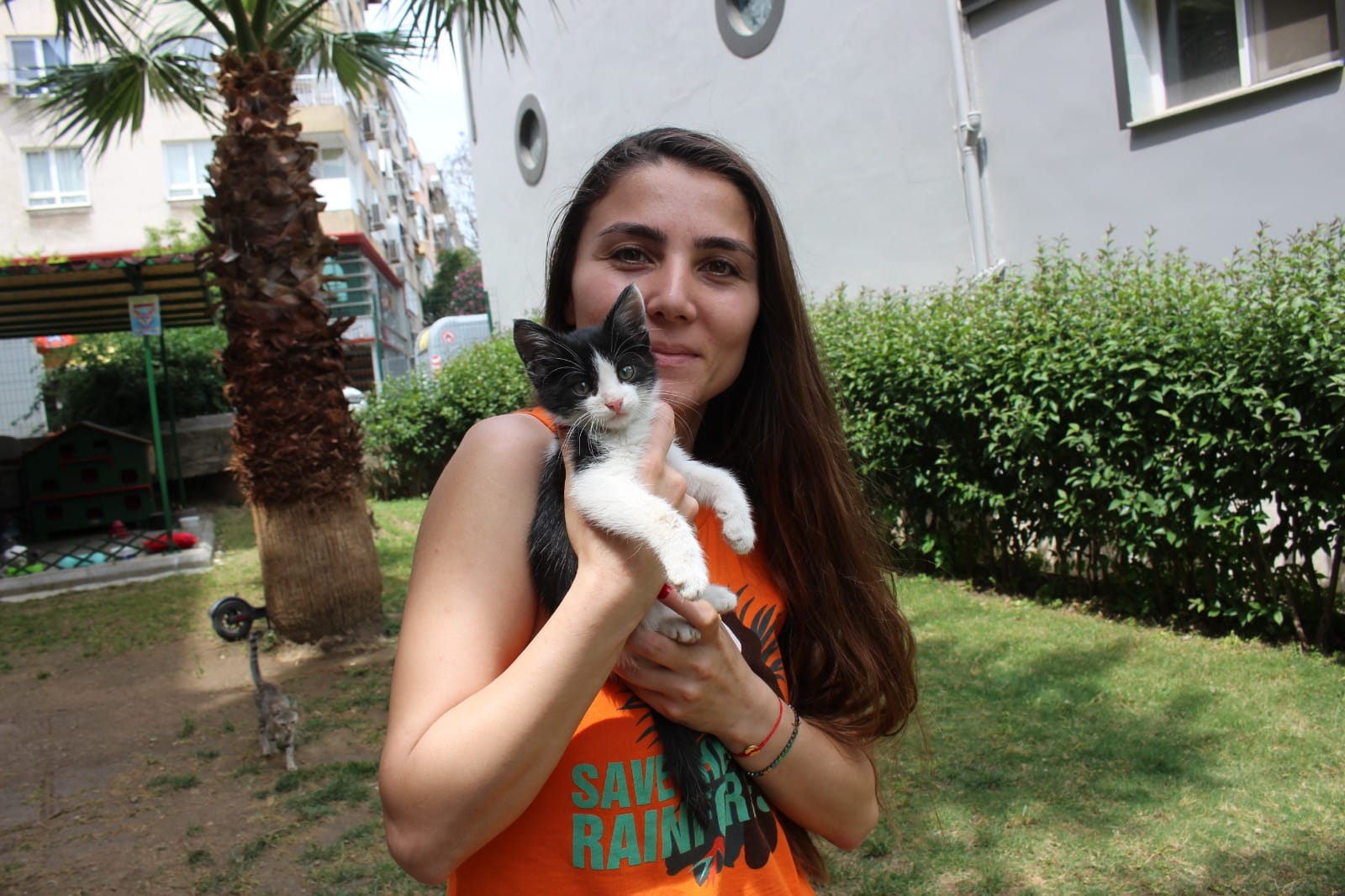 Zübeyde Hanım Parkı’nın kedileri yeni evlerine kavuştu