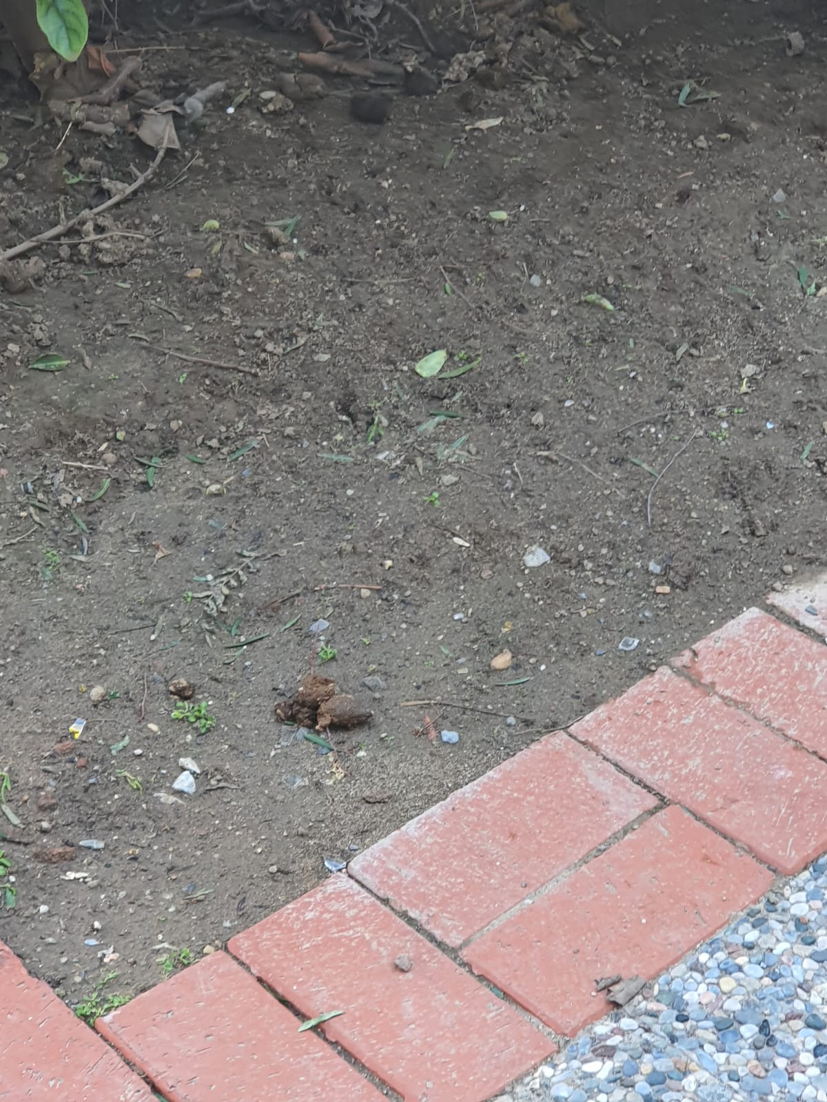 Salih Erkek Yazdı...