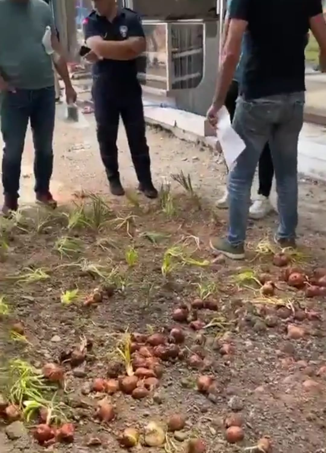 AK Partili Hızal’dan Büyükşehir ve CHP’ye ‘soğanlı’ salvo!