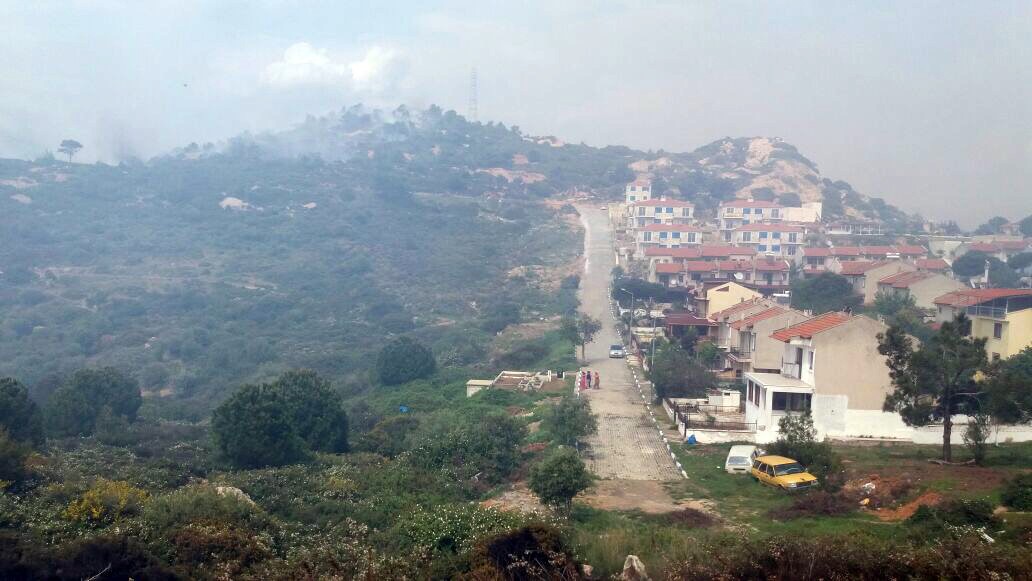 Ciğerlerimiz Yanıyor...