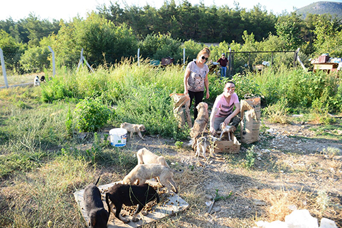 “Sizde hiç vicdan yok mu”