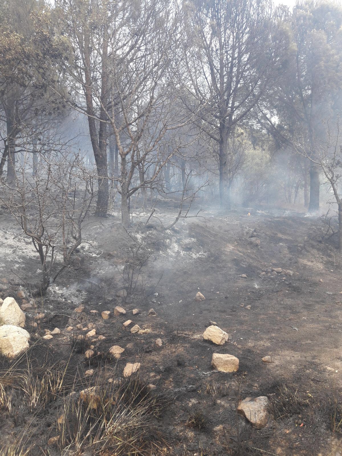 İzmir'de piknik alanı yakınında yangın
