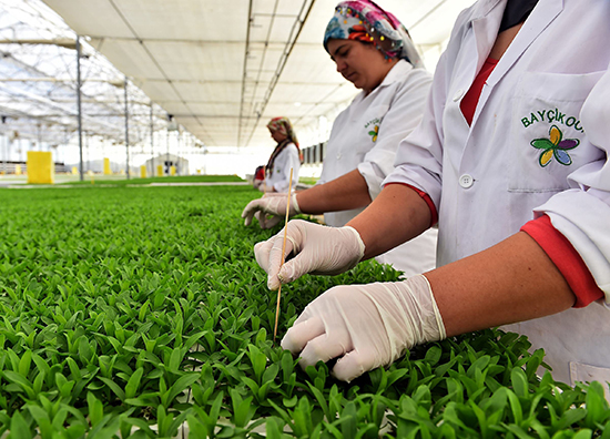 Hollandalı firma ile anlaşma yaptı