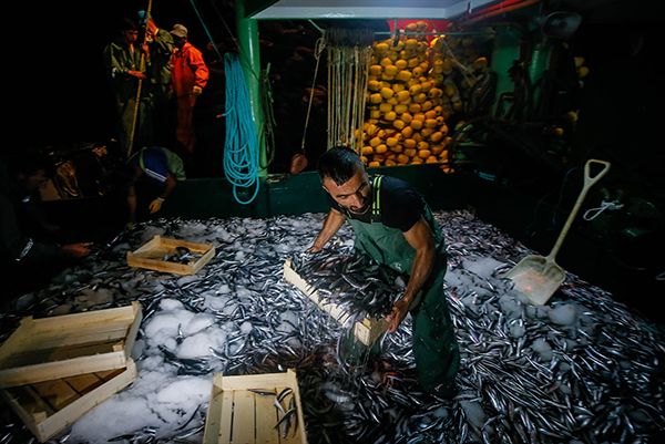 Balıkçılar 'vira bismillah' dedi