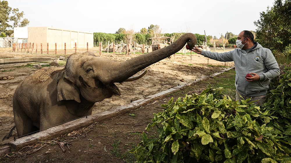 İzmir Doğal Yaşam Parkı yeni yüzüyle salgın sonrasına hazır