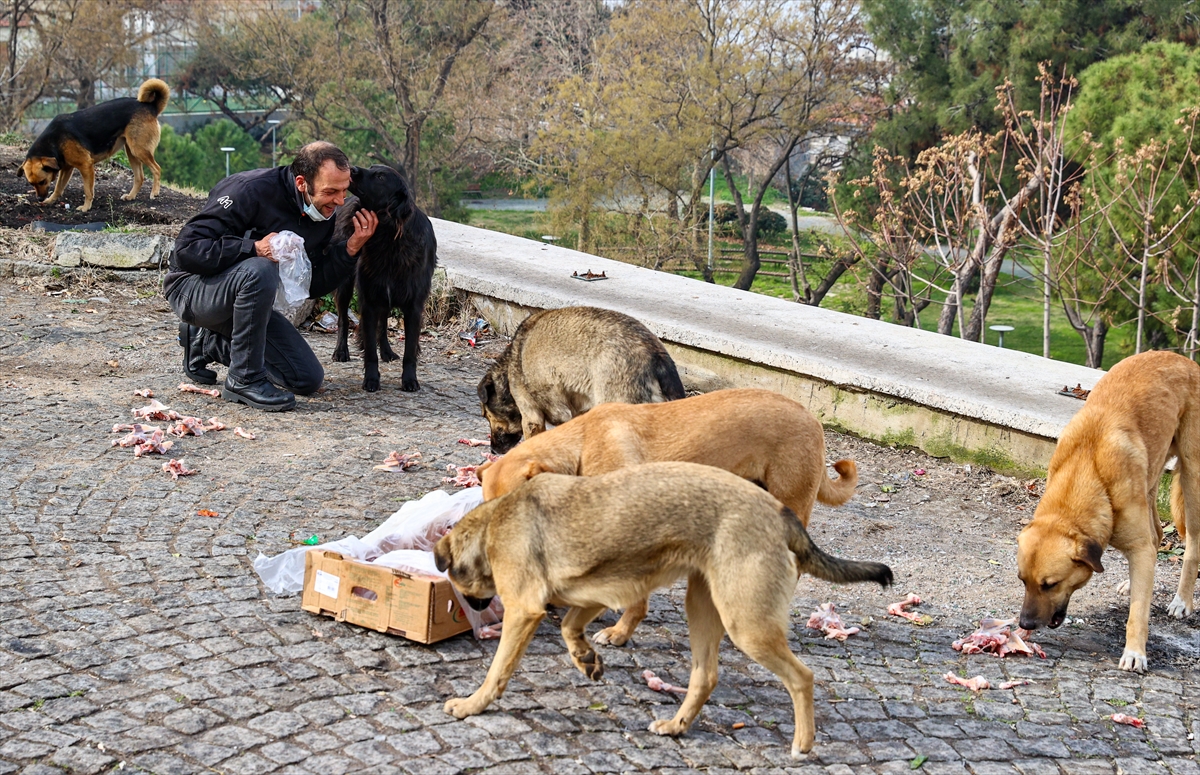 Motosikletli kuryeden örnek davranış