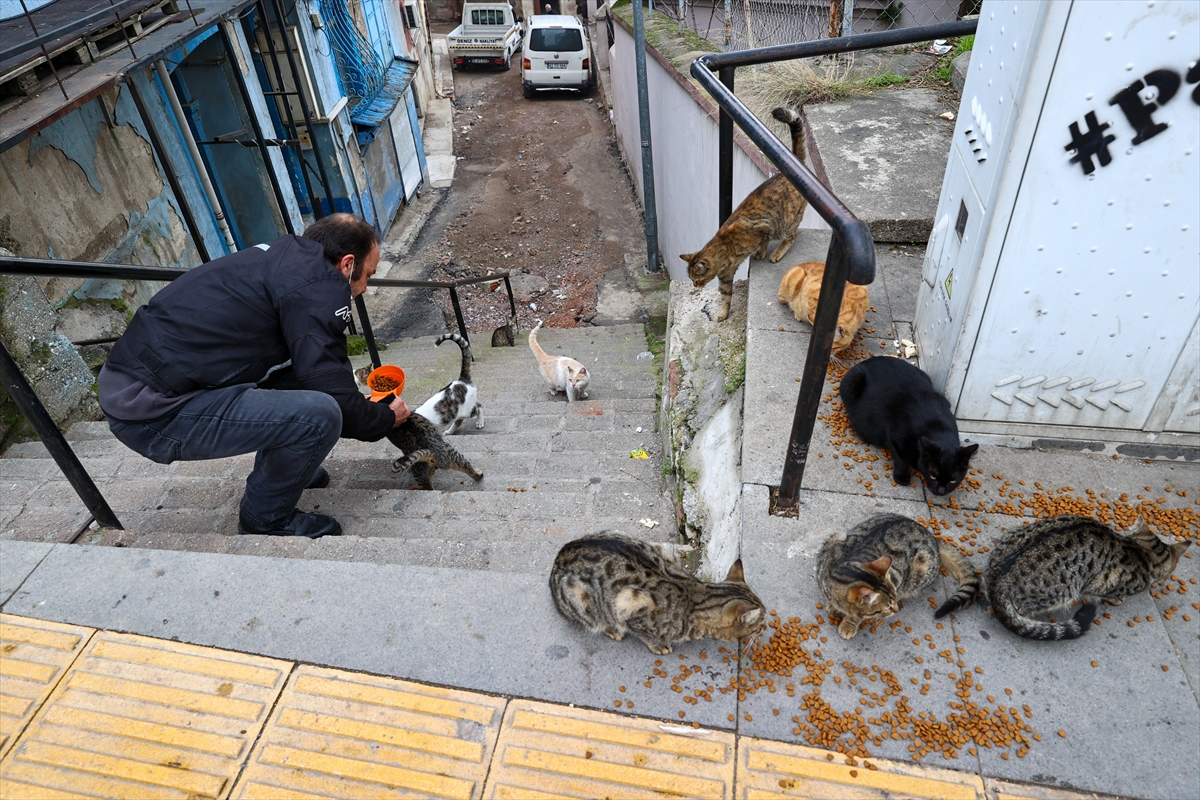 Motosikletli kuryeden örnek davranış
