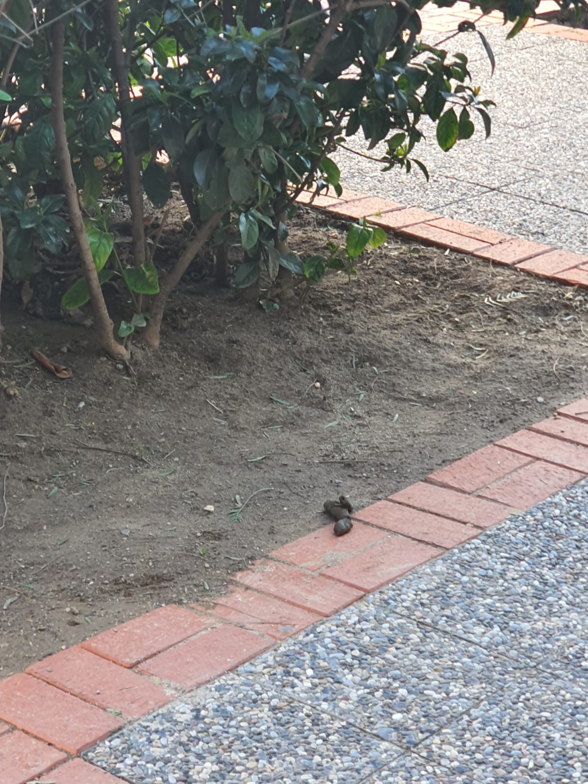 Salih Erkek Yazdı...