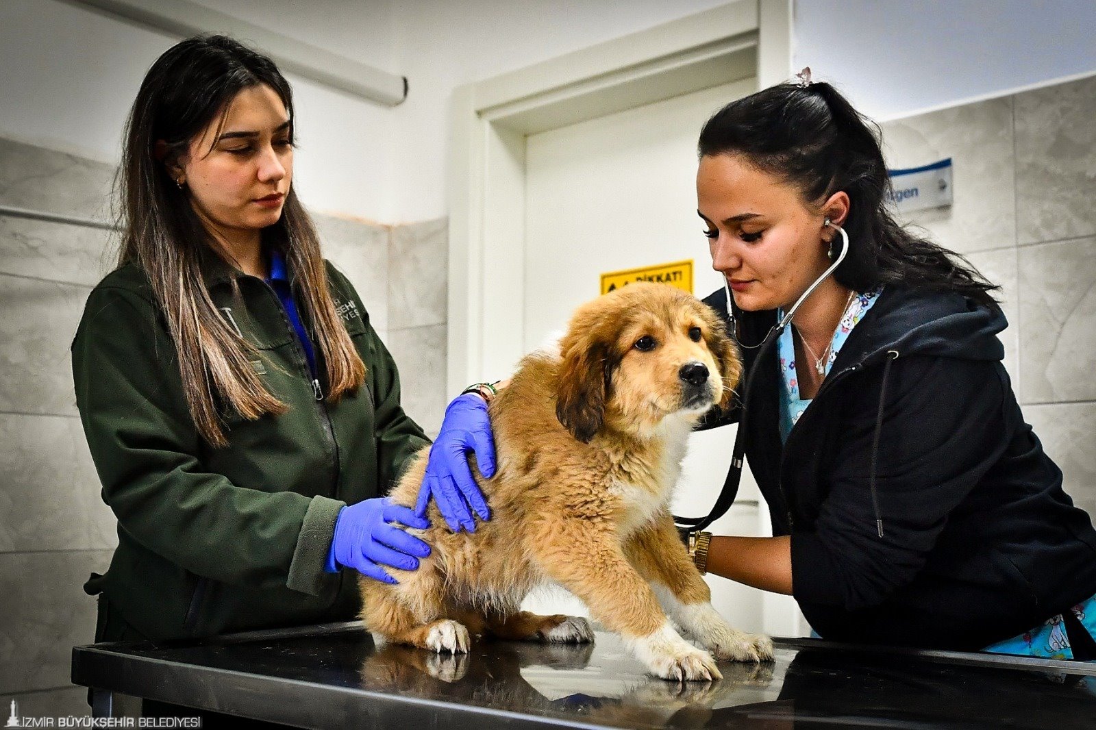 İzmir Büyükşehir Belediyesi HAYTAP’tan “tam not” alan tek Büyükşehir Belediyesi oldu