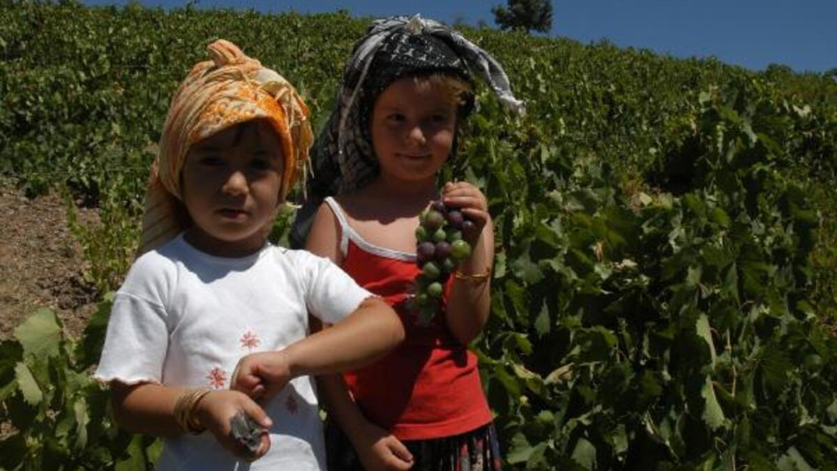 Topraklar terk ediliyor… Korona göçü!