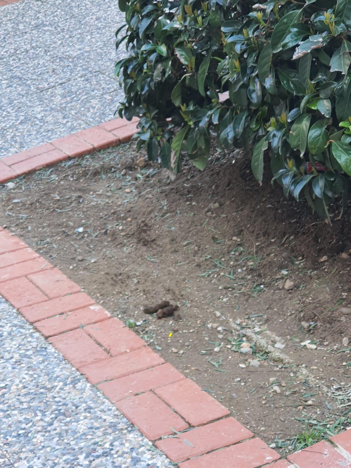 Salih Erkek Yazdı...