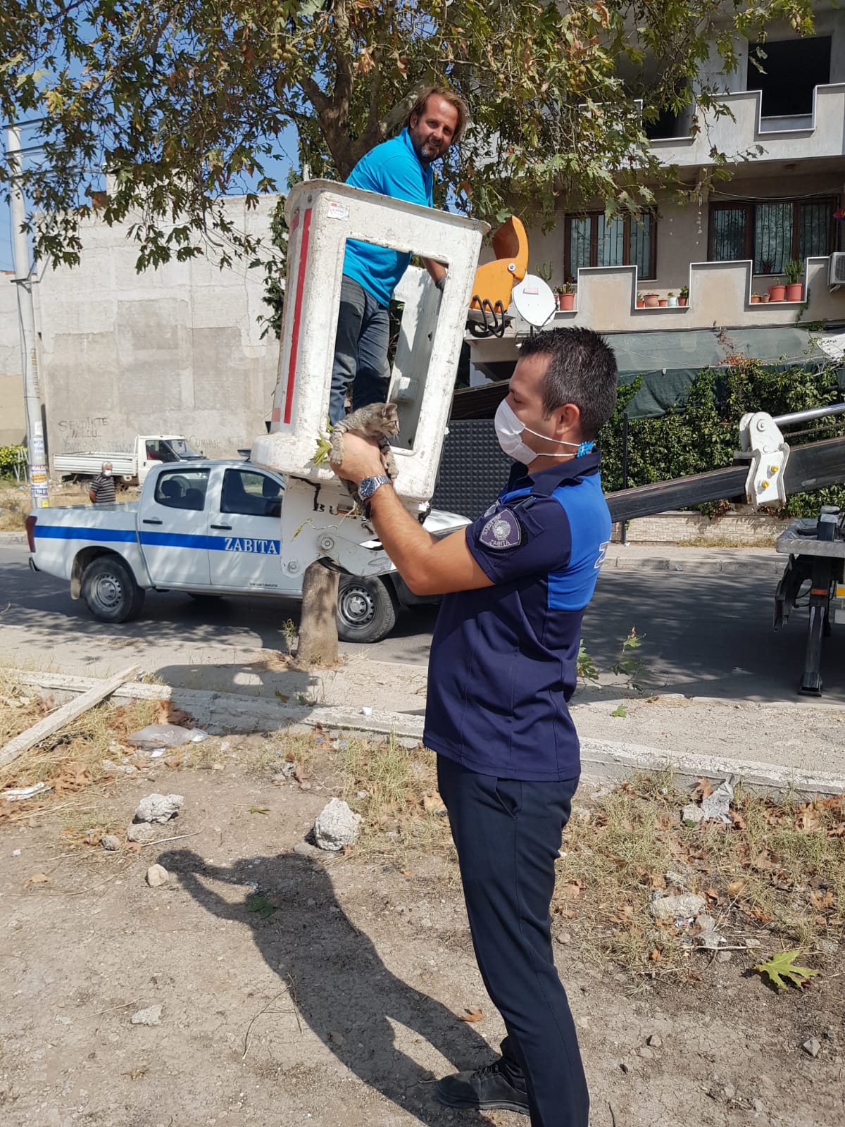 Zabıtalardan kedi operasyonu