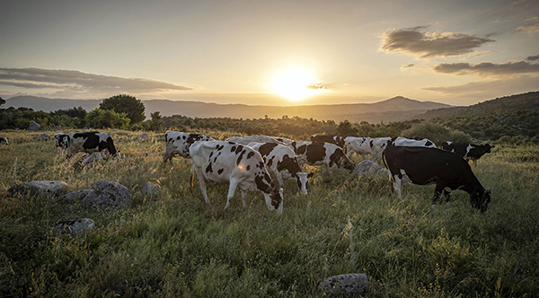 Tunç Soyer: Mera varsa hayat vardır