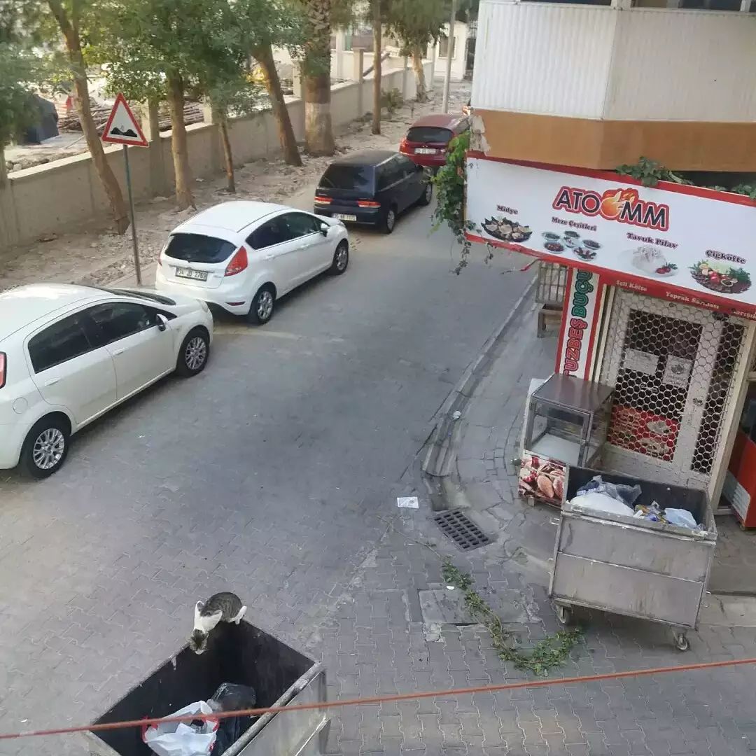 Abidin Tekin'in Kaleminden...