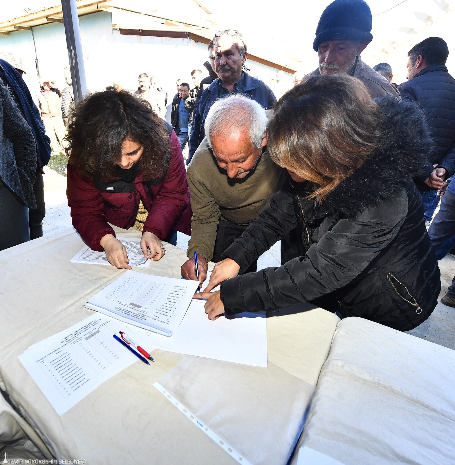 3 yılda 45 bin ton yem bitkisi tohumu