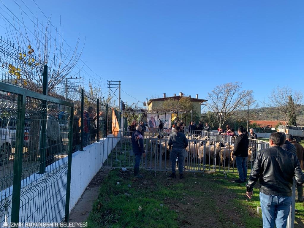 Küçükbaş destekleri 5 yılda 10 bini aştı