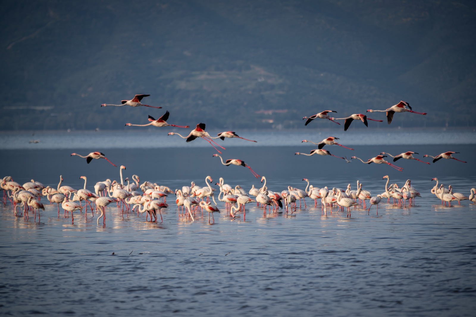 Yüzülebilir Körfez yatırımları meyvelerini veriyor