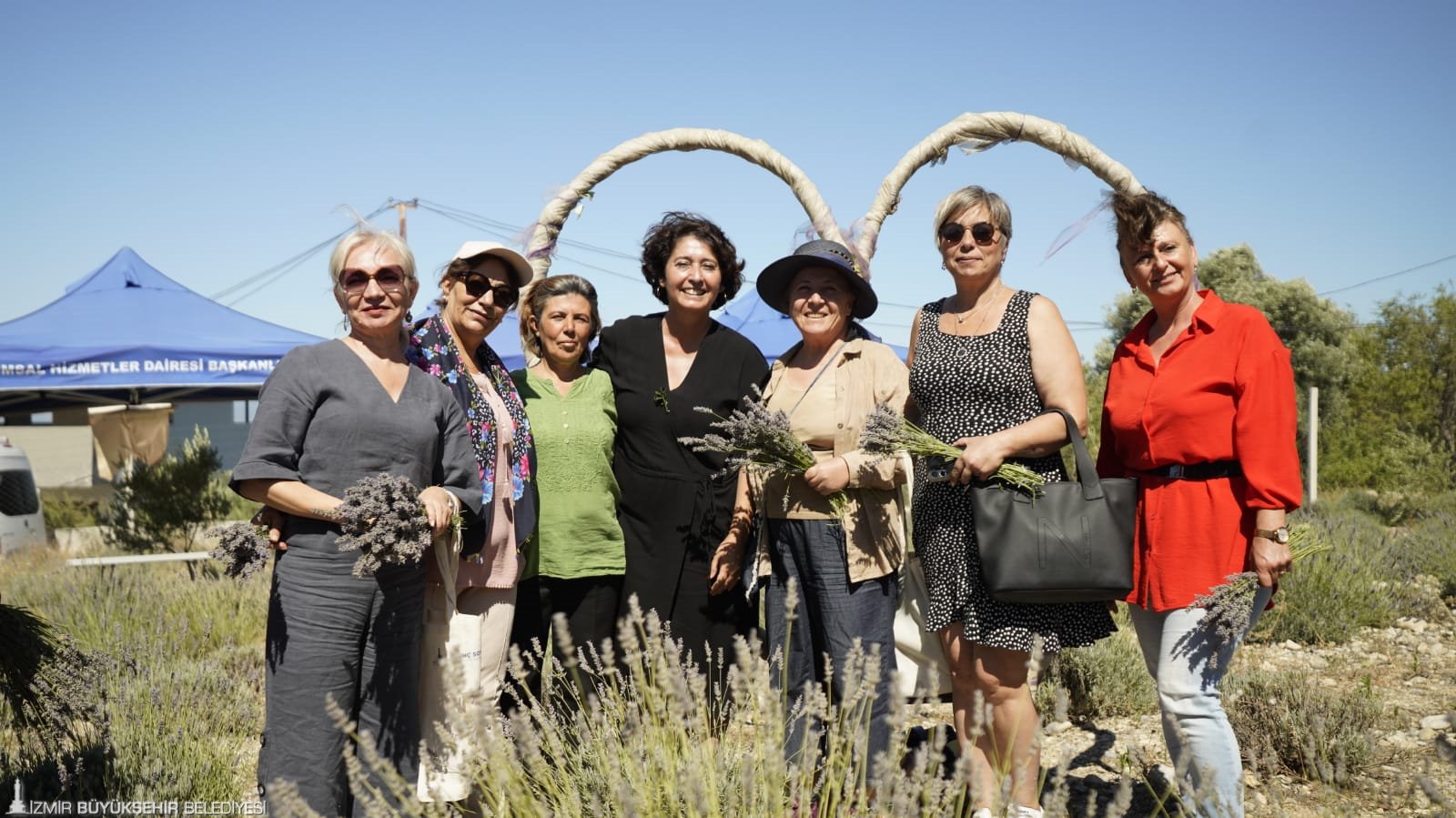 İmece usulü lavanta hasadında dayanışma örneği