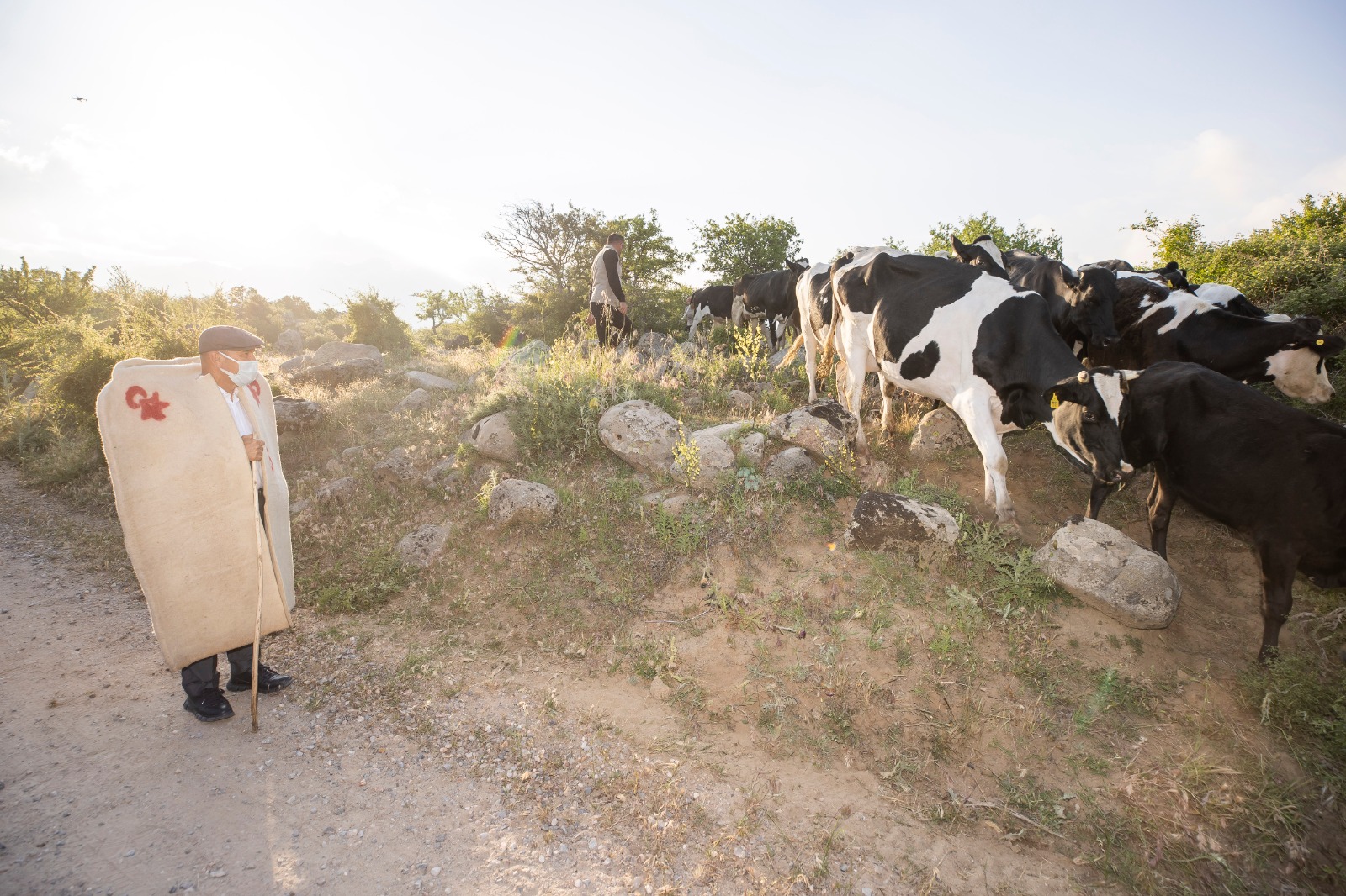 Soyer: Kozak Yaylası'nın meralarını üreticiye bıraksınlar