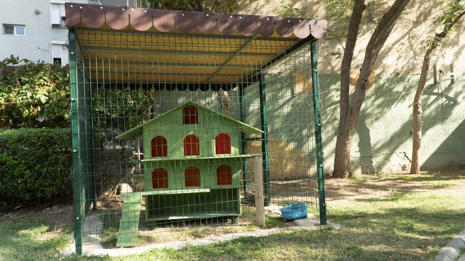 Can dostları ‘ev’lendirecek proje: KediYaka