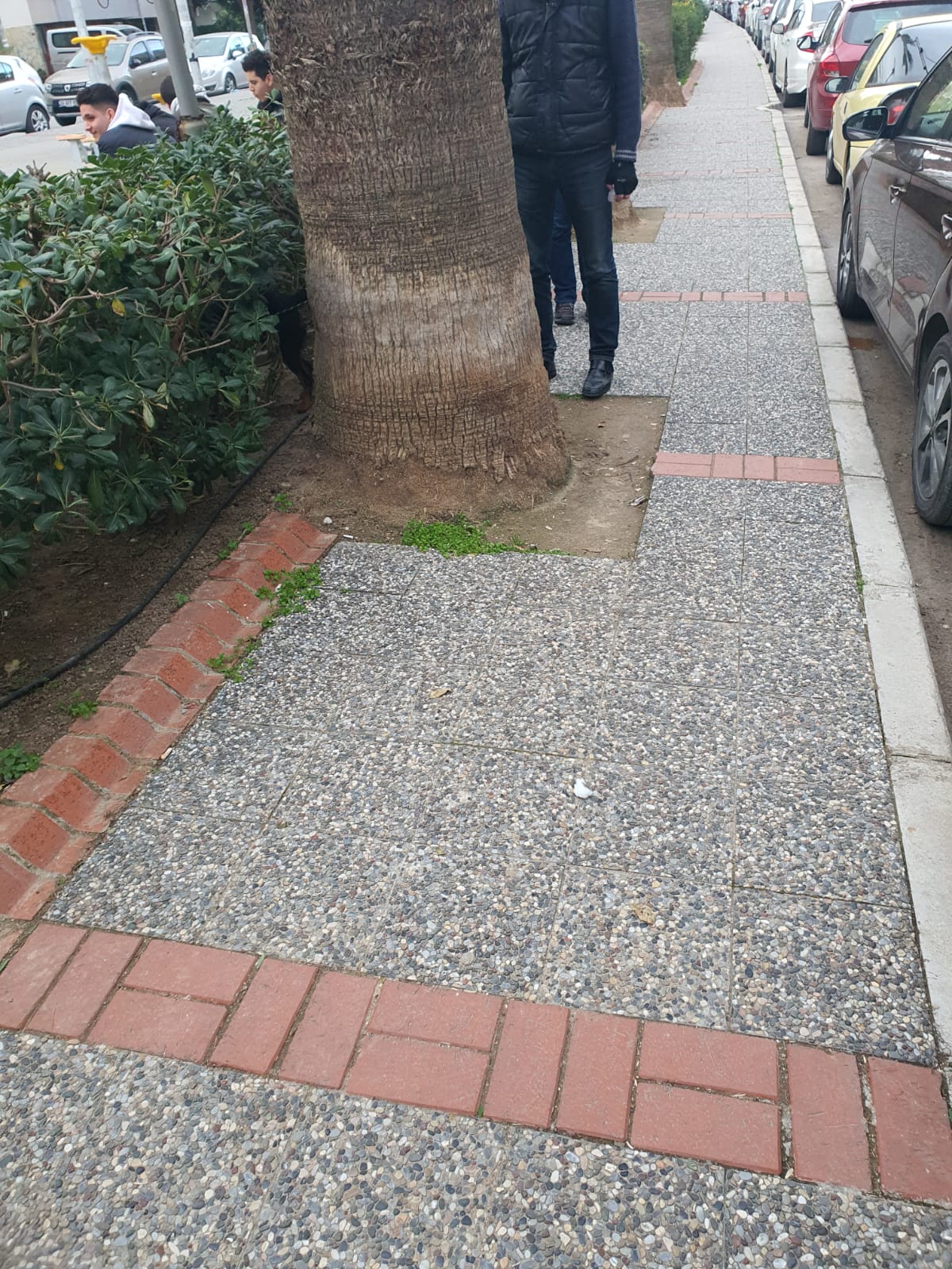 Salih Erkek Yazdı...