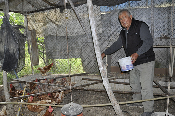 Göz göre göre zehirleniyorlar