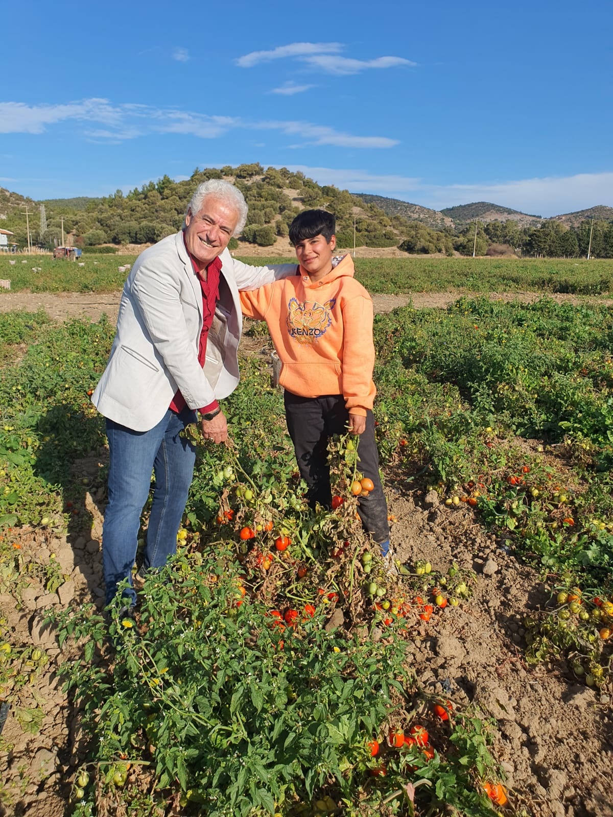 "DOMATES SEZONDA İKİ DEFA EKİN VERDİ"