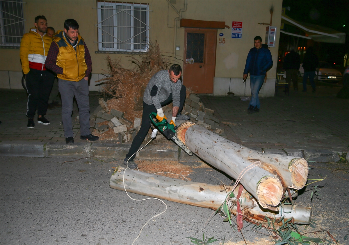 İzmir'de fırtına nedeniyle ağaçlar devrildi, çatılar uçtu
