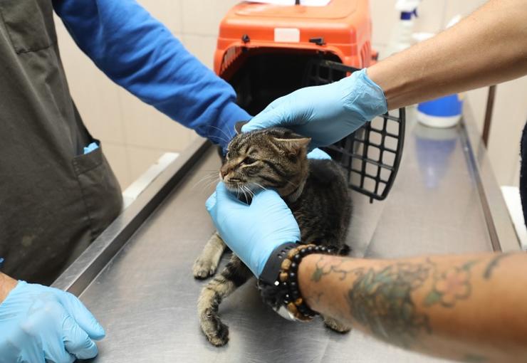 Gaziemir’de can dostlar emin ellerde