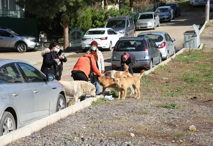 Bayraklı'da hayvanseverlerden örnek dayanışma