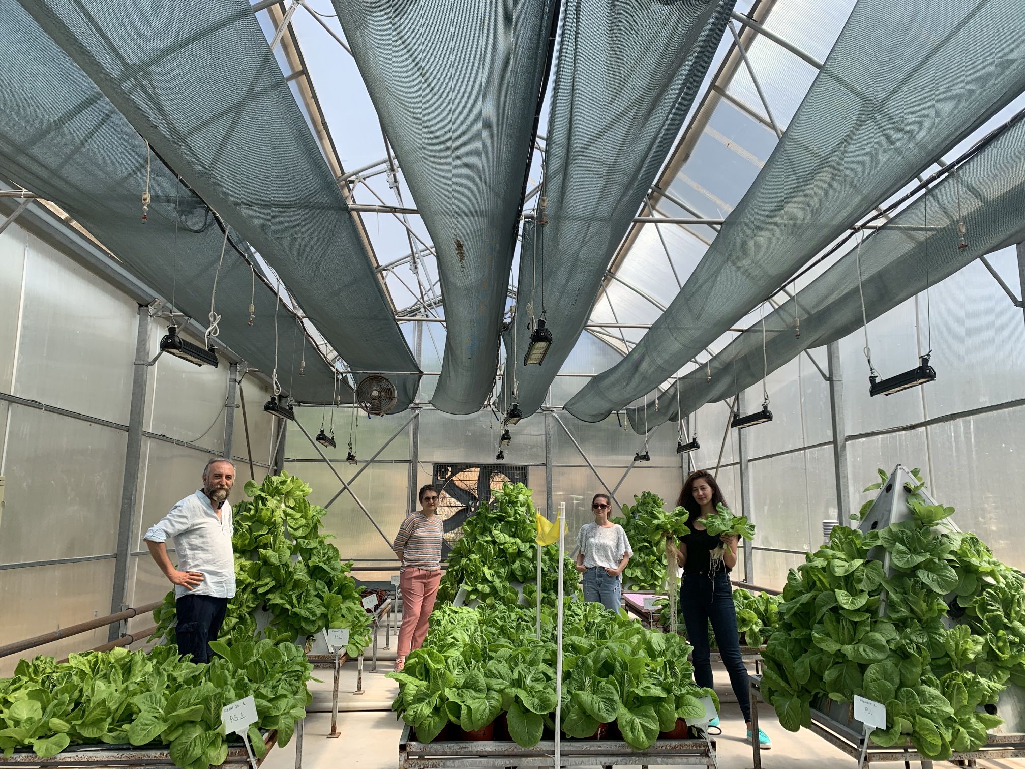 Tam otomasyonlu, topraksız sera sistemine, yenilenebilir enerji teknolojisi