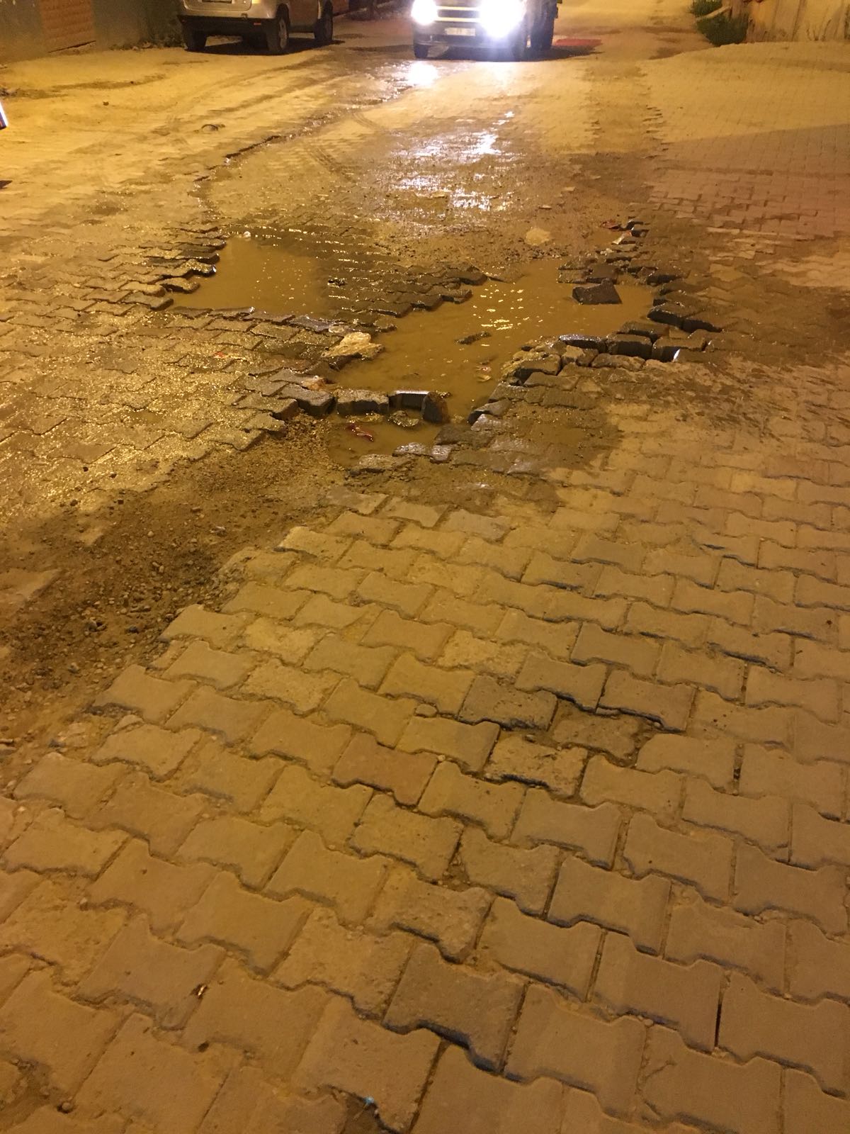 Kocaoğlu’nun söküğünü Başkan Görmez dikiyor