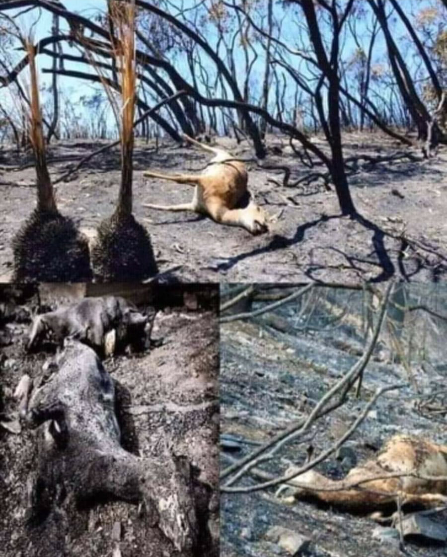 Salih Erkek Yazdı...