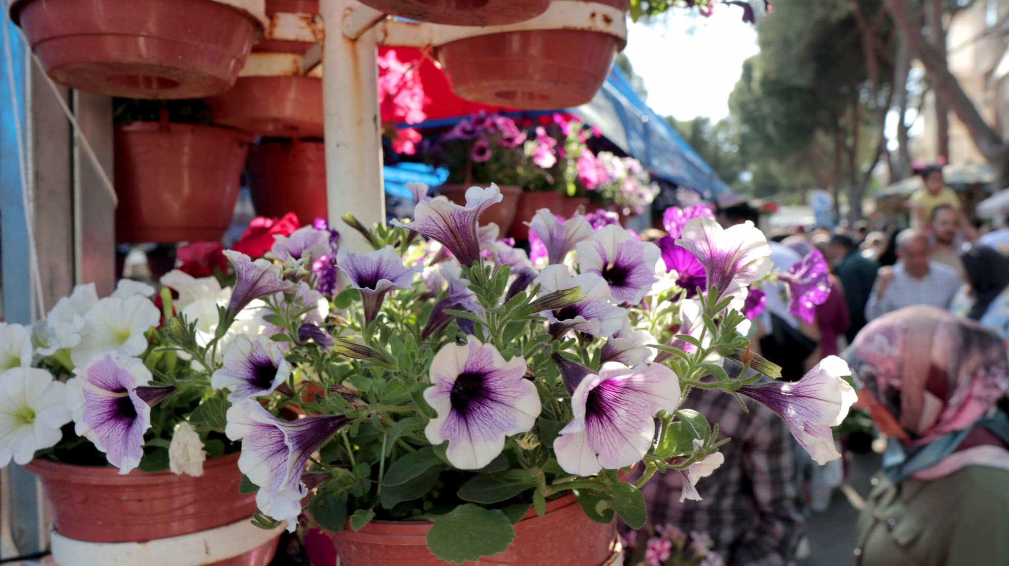 Bayındır Çiçek Festivali Son Gününde de Doldu Taştı