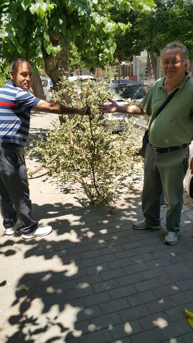 BİRİ ÖLSE BEDELİNİ KİM ÖDEYECEK?