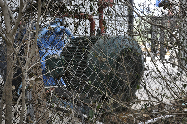 Göz göre göre zehirleniyorlar