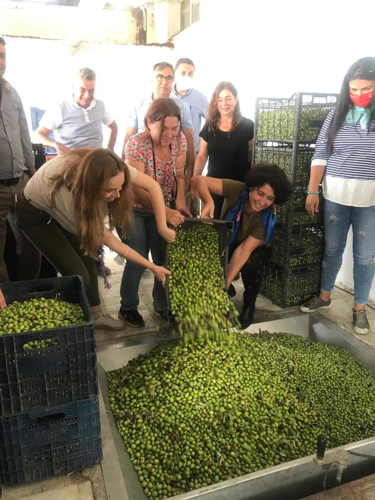 İzmir Köy Koop Birlik Başkanı Neptün Soyer: “Zeytinliklerimizi korumalıyız”