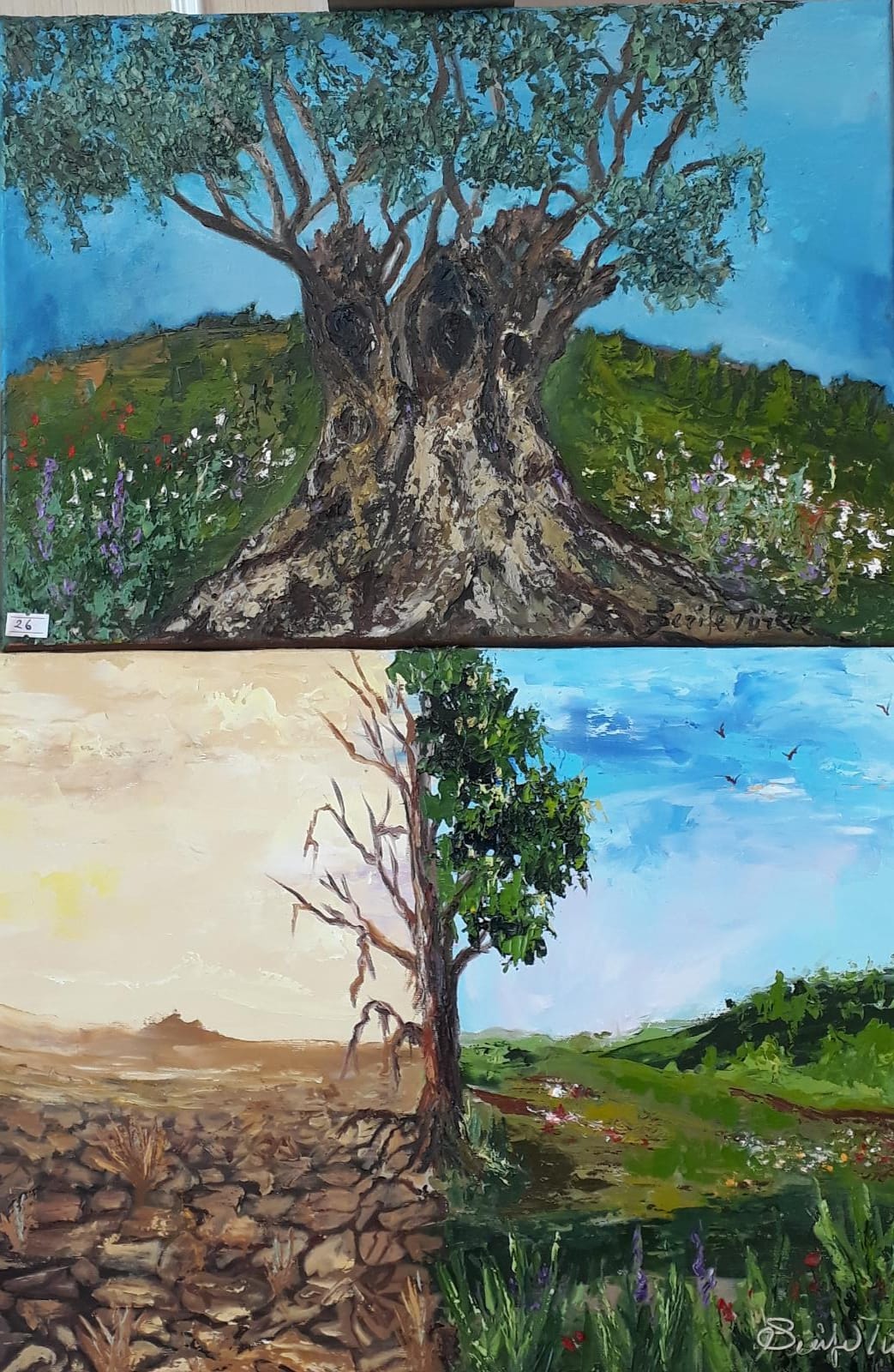 Ressam Şerife Türker yeni sergisini açtı