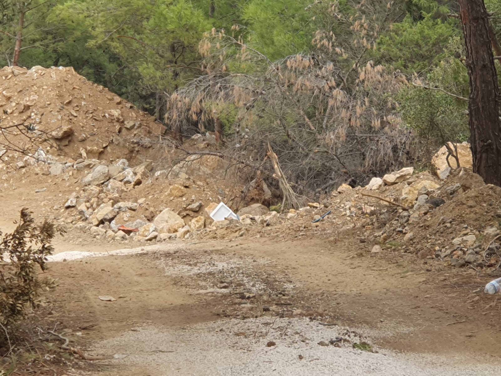 Salih Erkek Yazdı... DEVLET BAHÇELİ'Yİ DAVET EDİYORUM