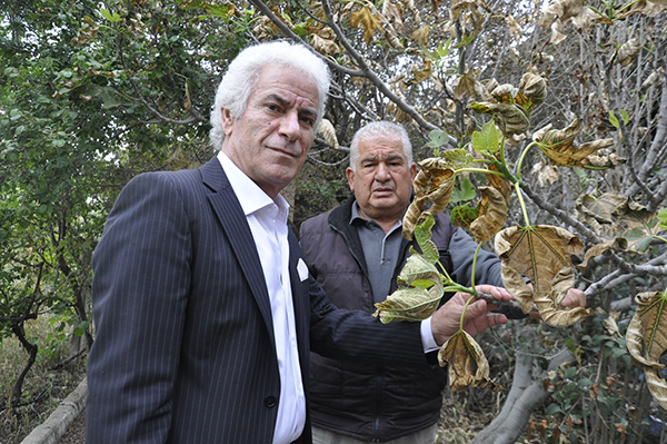 Göz göre göre zehirleniyorlar