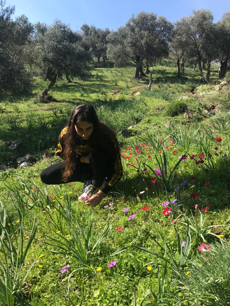 İzmir Köy Koop Birlik Başkanı Neptün Soyer: “Zeytinliklerimizi korumalıyız”